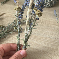 S11 X The Soul Collective Crystal Workshop