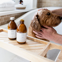 Super Soft: Organic Dog Conditioner