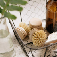 Firm Reusable Dish Brush | Bamboo Brushes