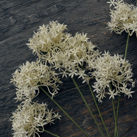 Artificial Allium Bunch