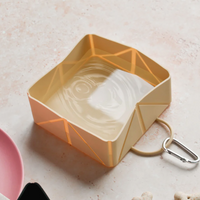Nude Foldable Travel Bowl