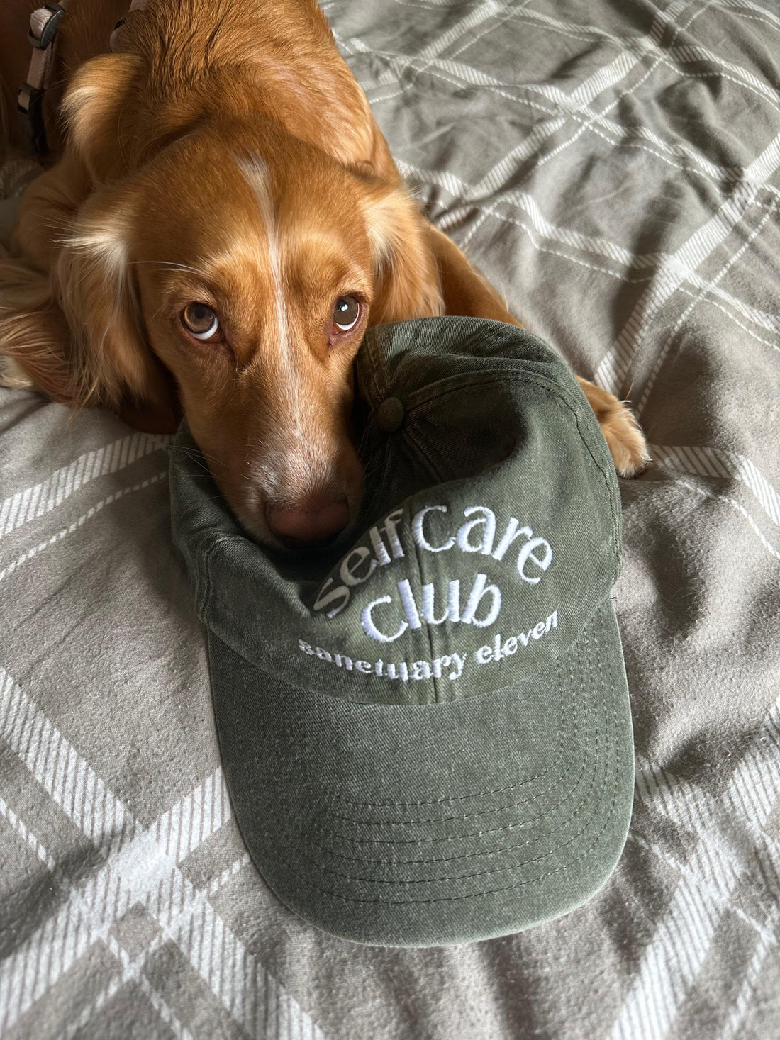 Pre-Order : 'Self Care Club' Olive Cap