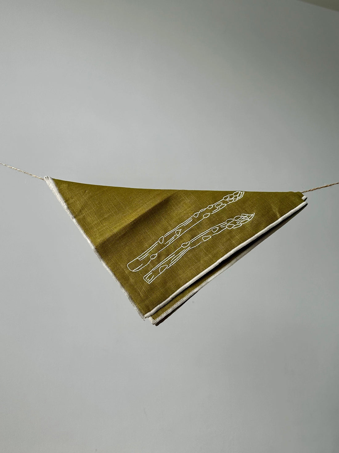 Asparagus Linen Napkins (Set of 2)