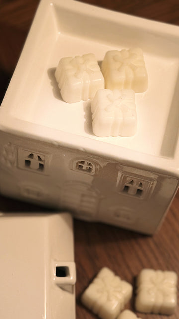 Frosted Fir Present Wax Melts