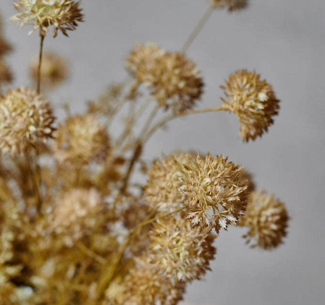 Faux Marsh Stem