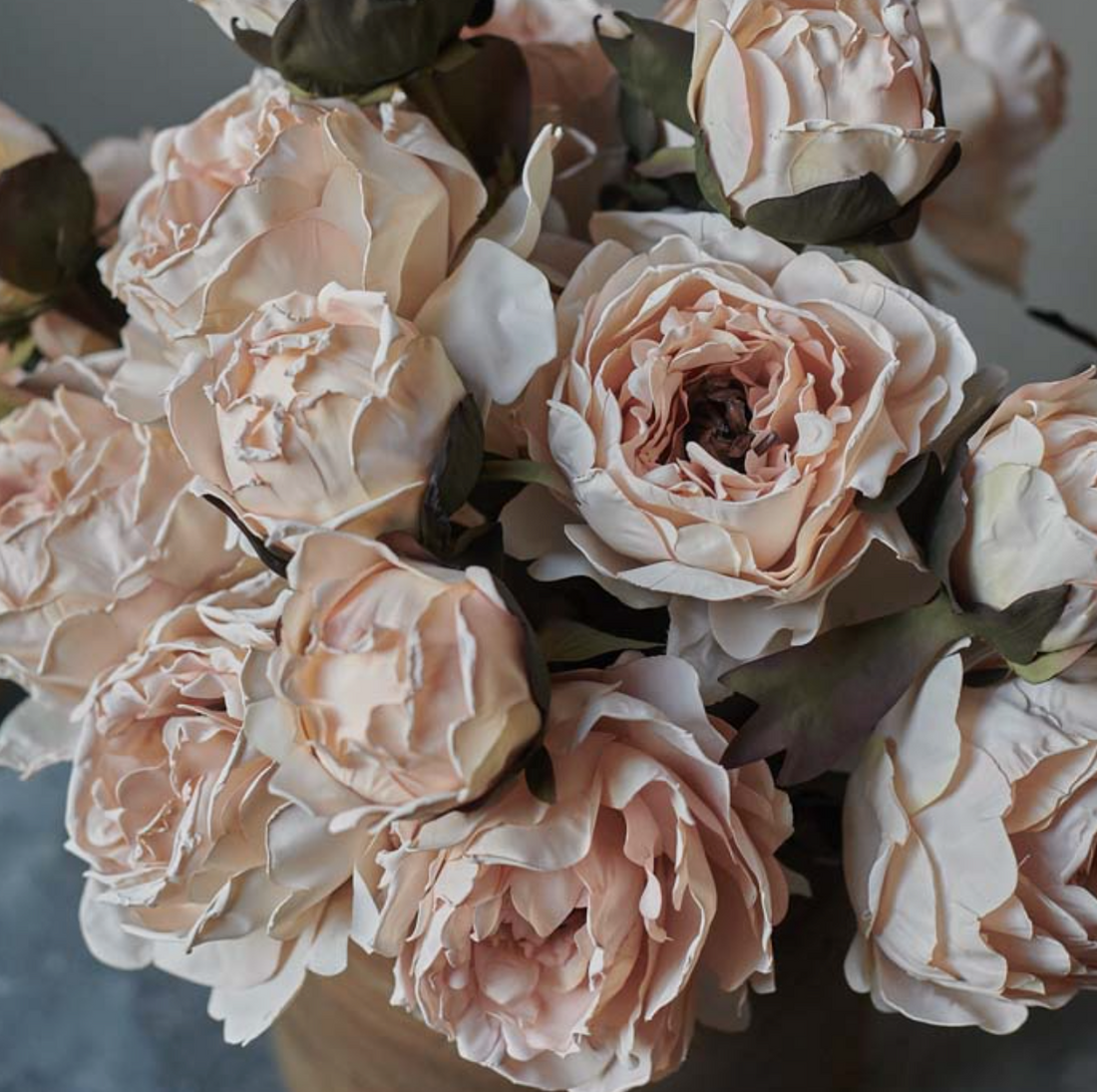 Peony Stem