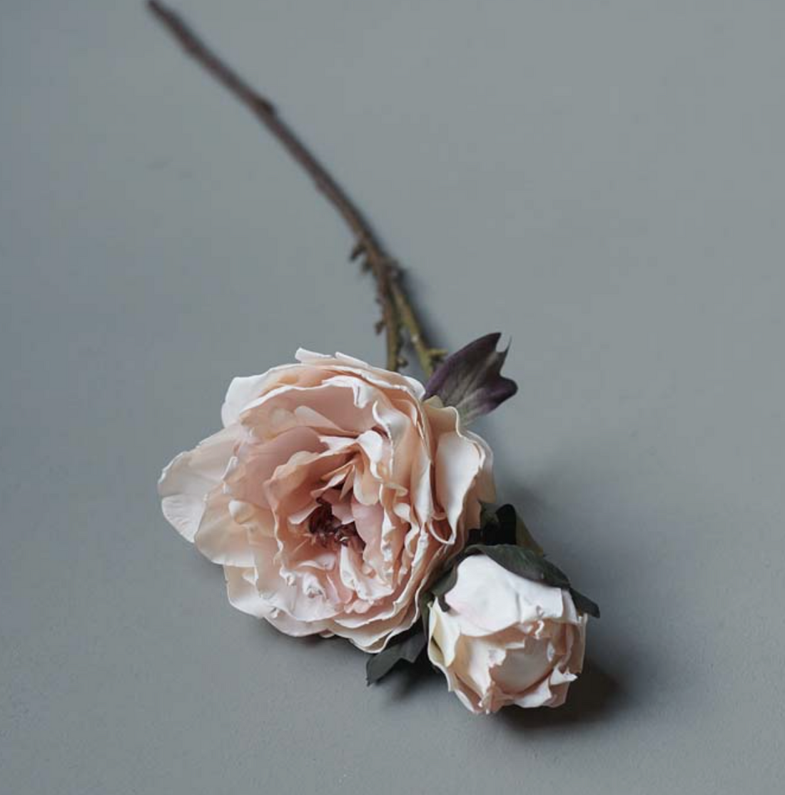 Peony Stem