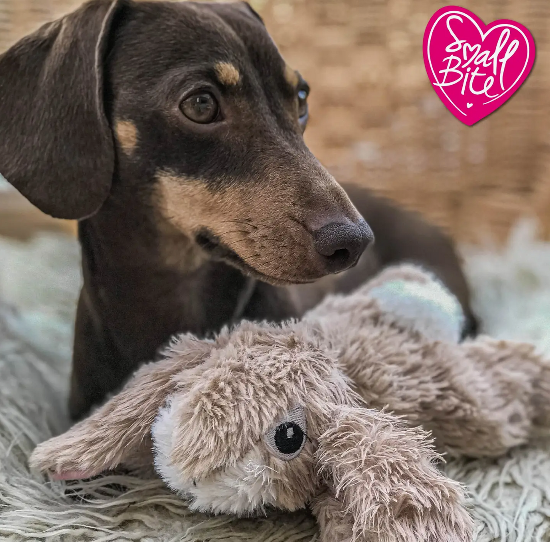 Small Bite Plush Rabbit Toy
