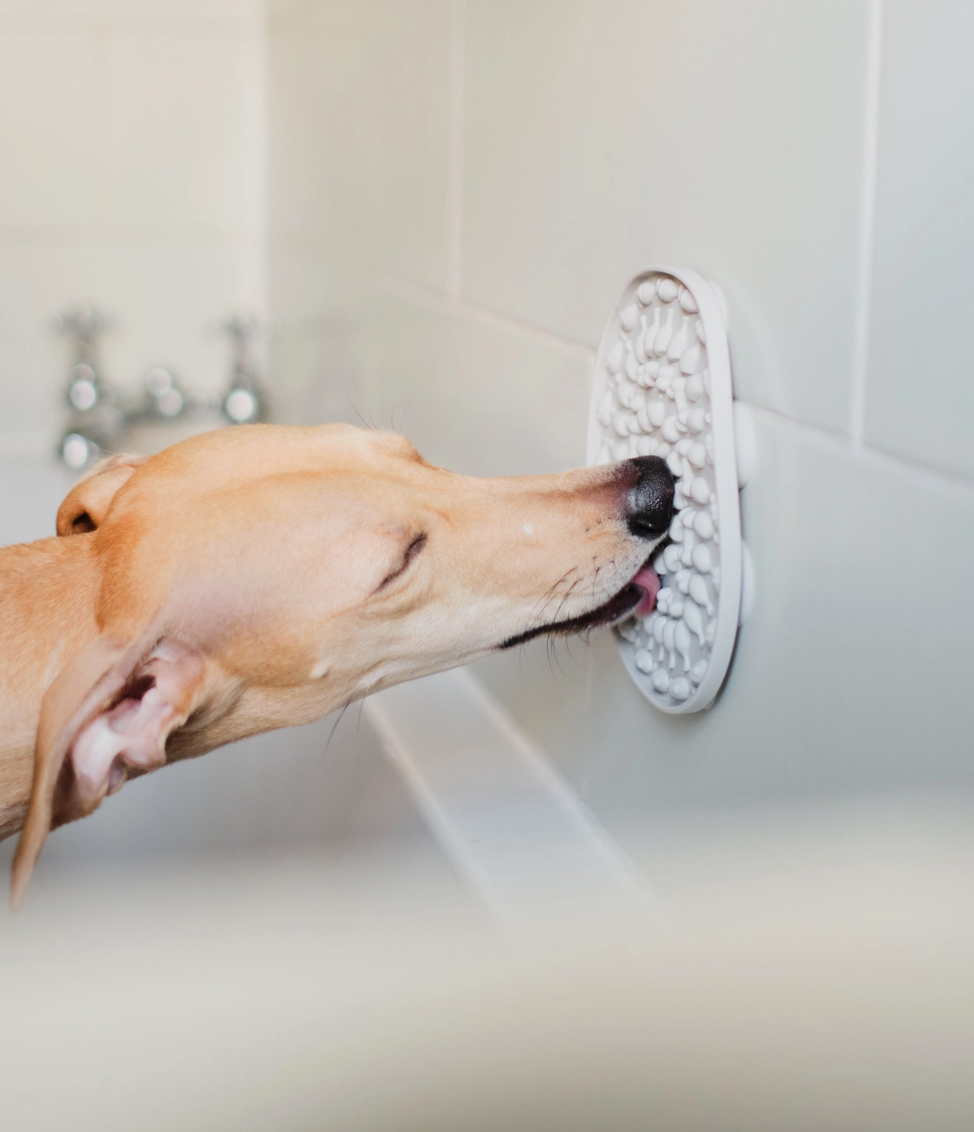 Bathtime Buddy Lickmat