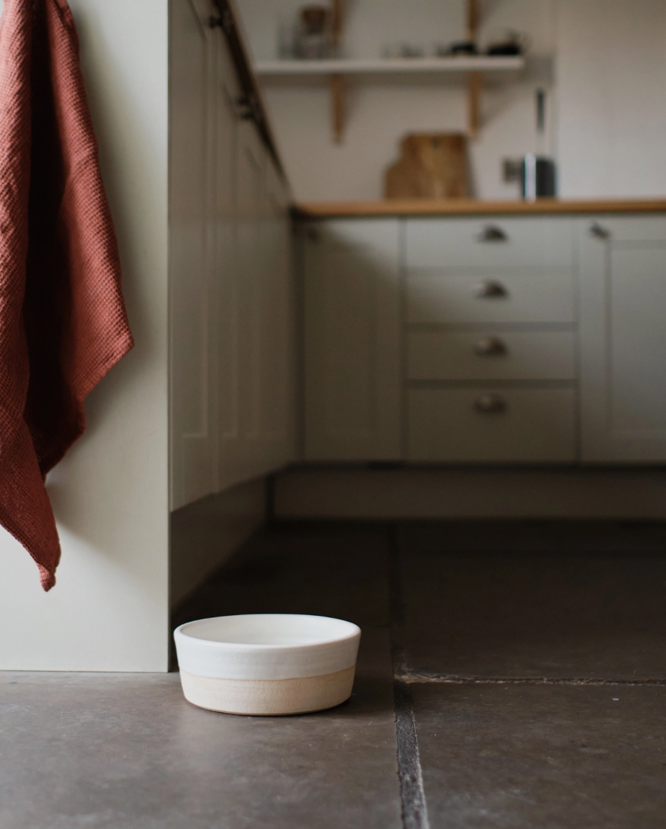 Handcrafted Ceramic Dog Bowl