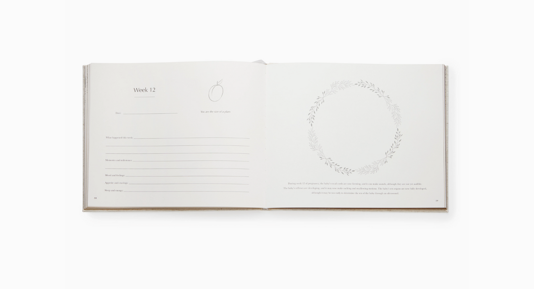 Pregnancy Journal