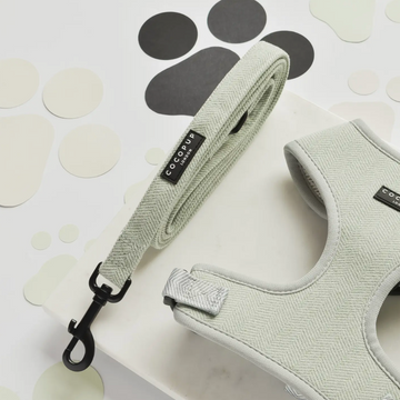 Sage Green Tweed Lead