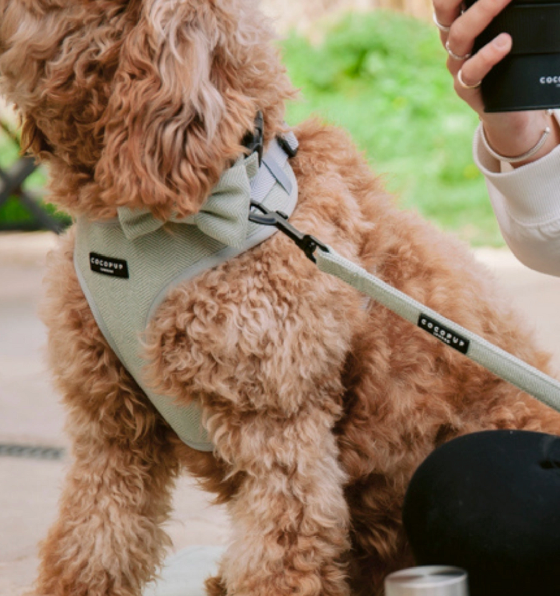 Sage Green Tweed Adjustable Neck Harness