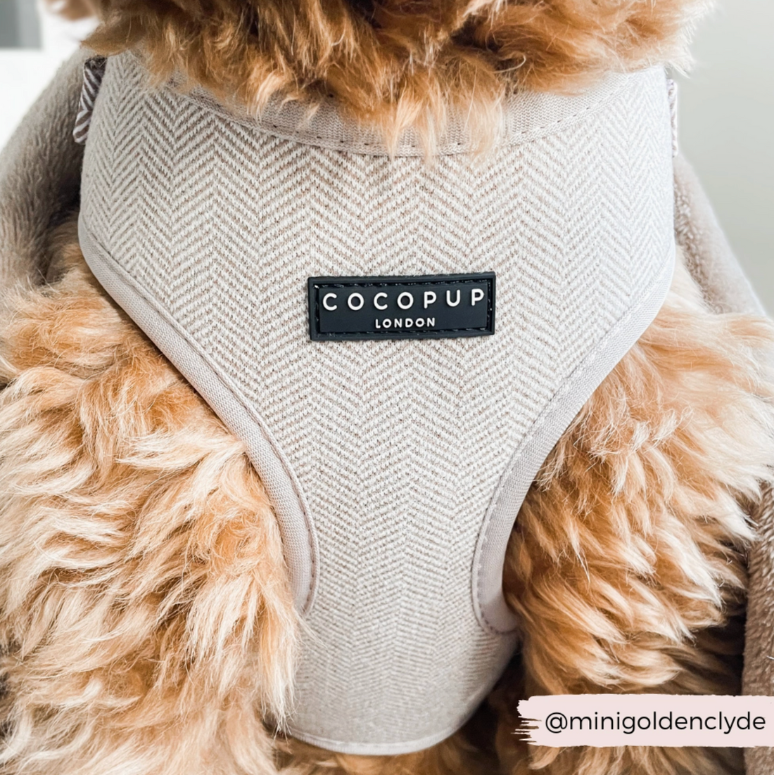 Nude Brown Tweed Adjustable Neck Harness