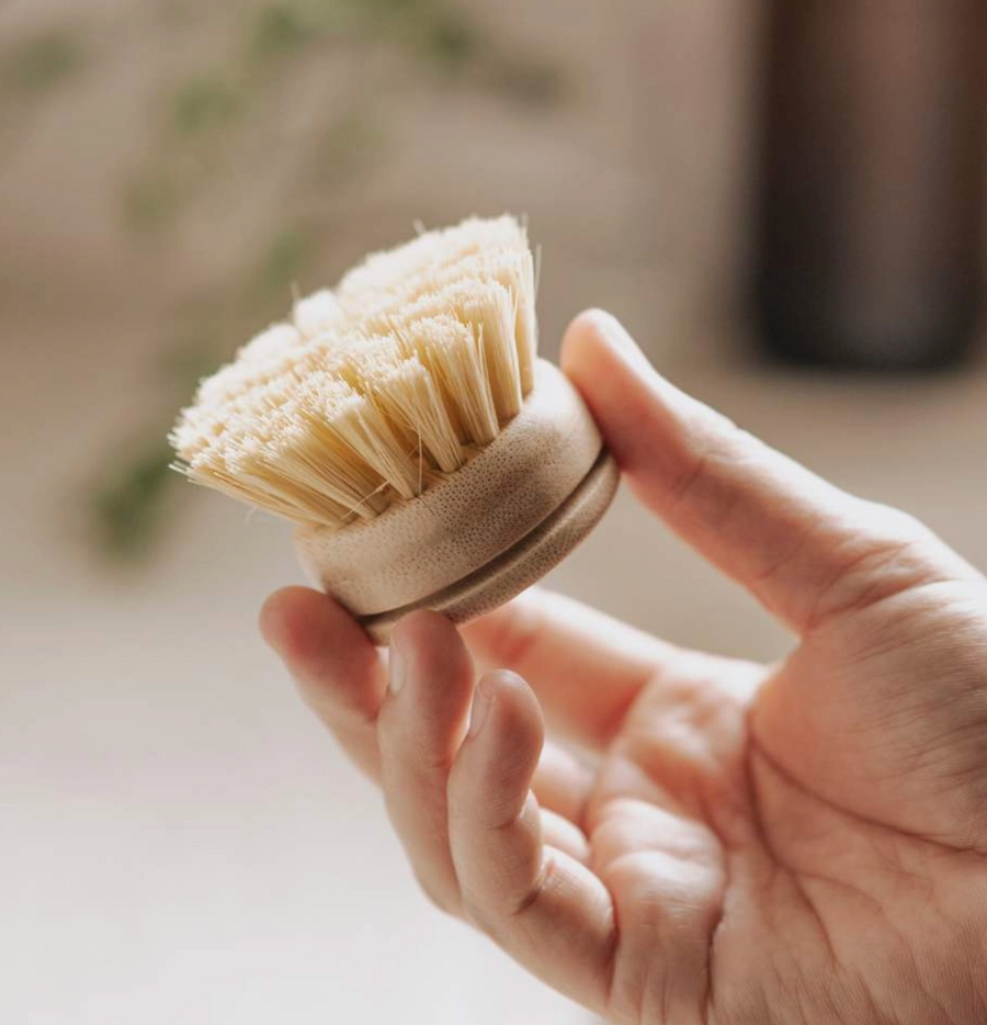 Firm Reusable Dish Brush | Bamboo Brushes