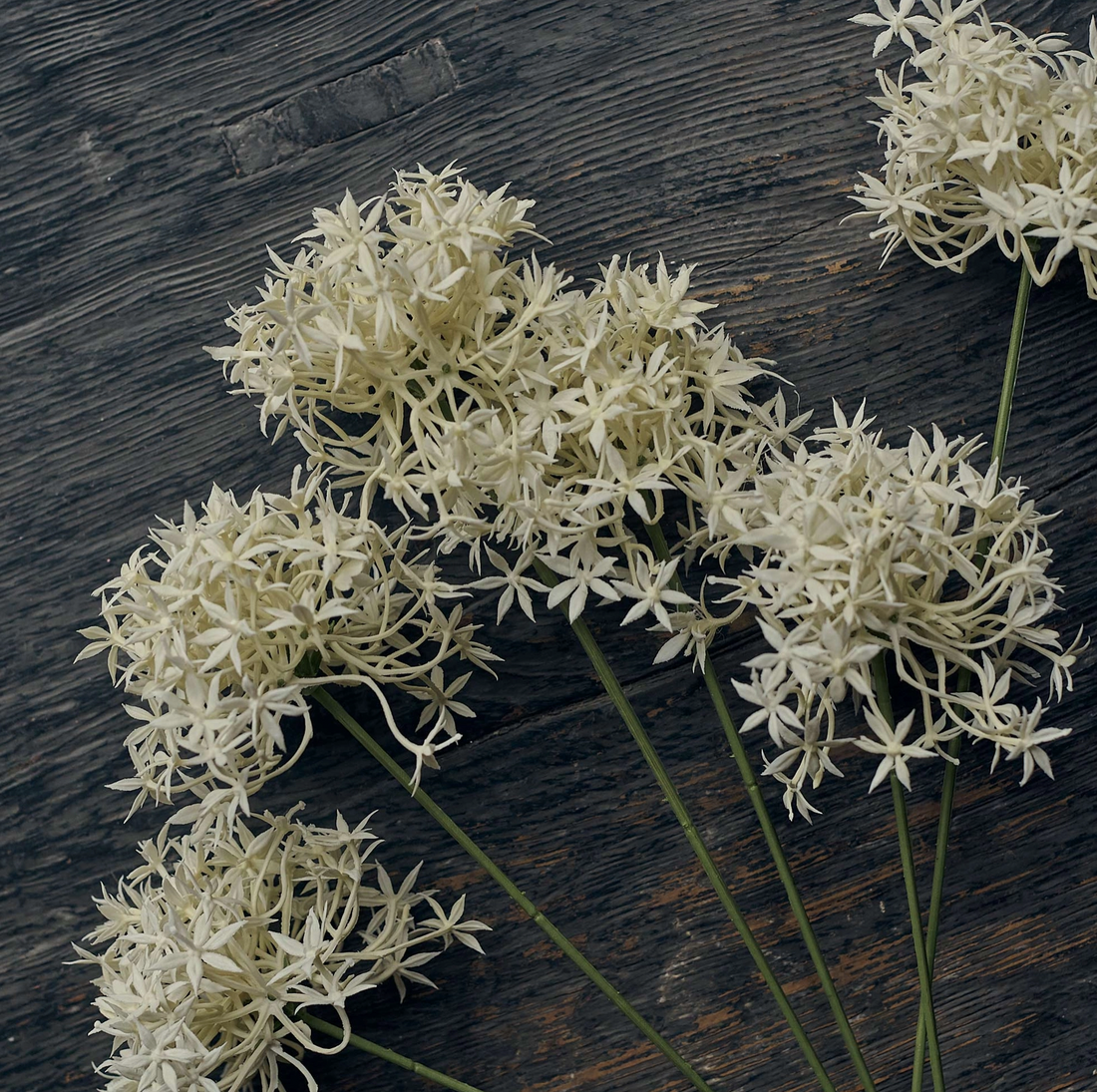 Artificial Allium  Bunch
