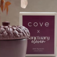 DARK FIG ACORN CANDLE