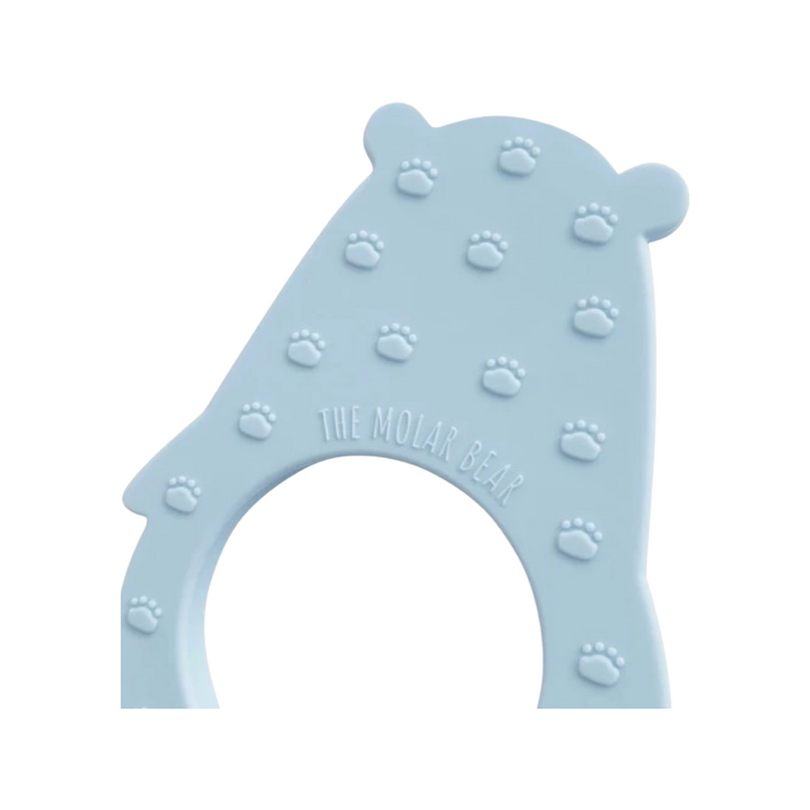 Molar Bear Teether: Skye