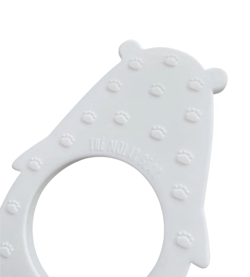 Molar Bear Teether: Alaska