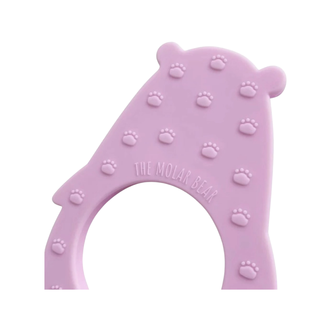 Molar Bear Teether: Lumi