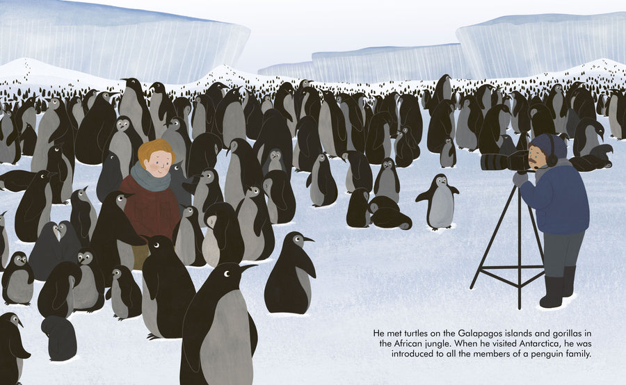 'Little People Big Dreams: David Attenborough' Children's Book