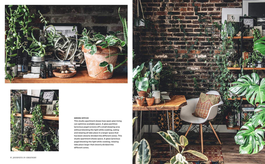 'Wild Interiors' Book