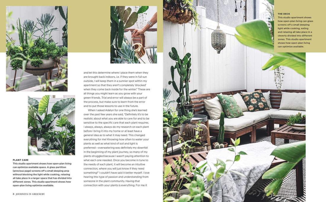 'Wild Interiors' Book