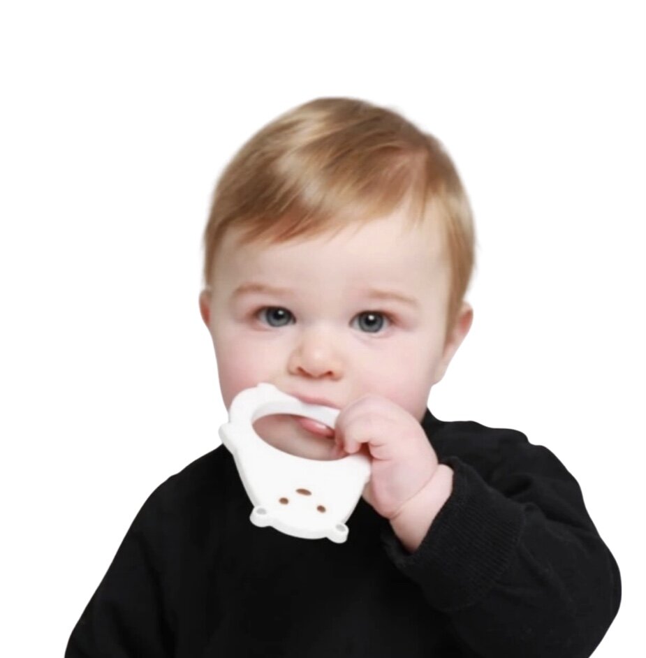 Molar Bear Teether: Alaska
