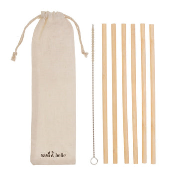 Bamboo Straws - Set Of 6