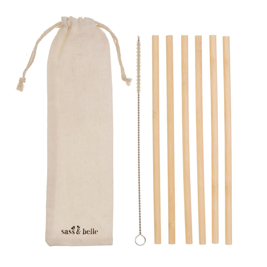 Bamboo Straws - Set Of 6
