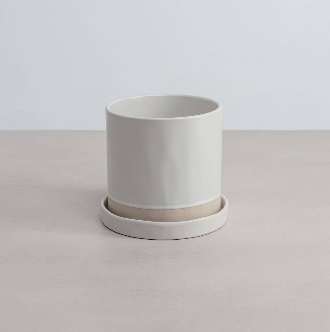 Organic Planter & Tray