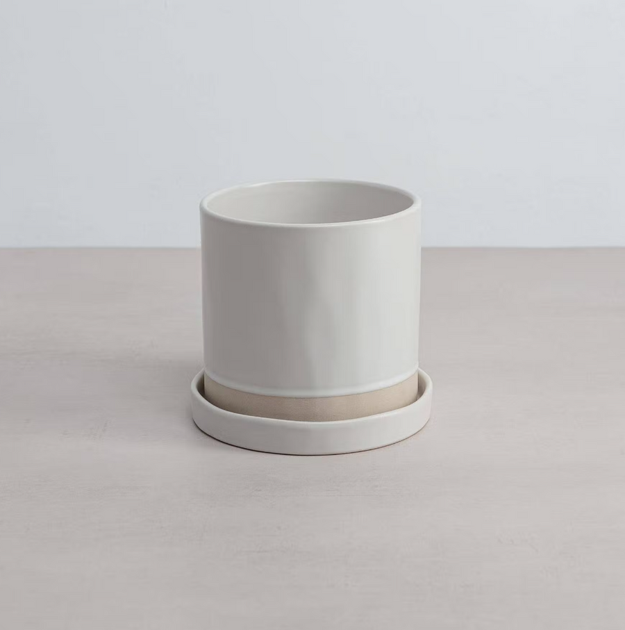 Organic Planter & Tray