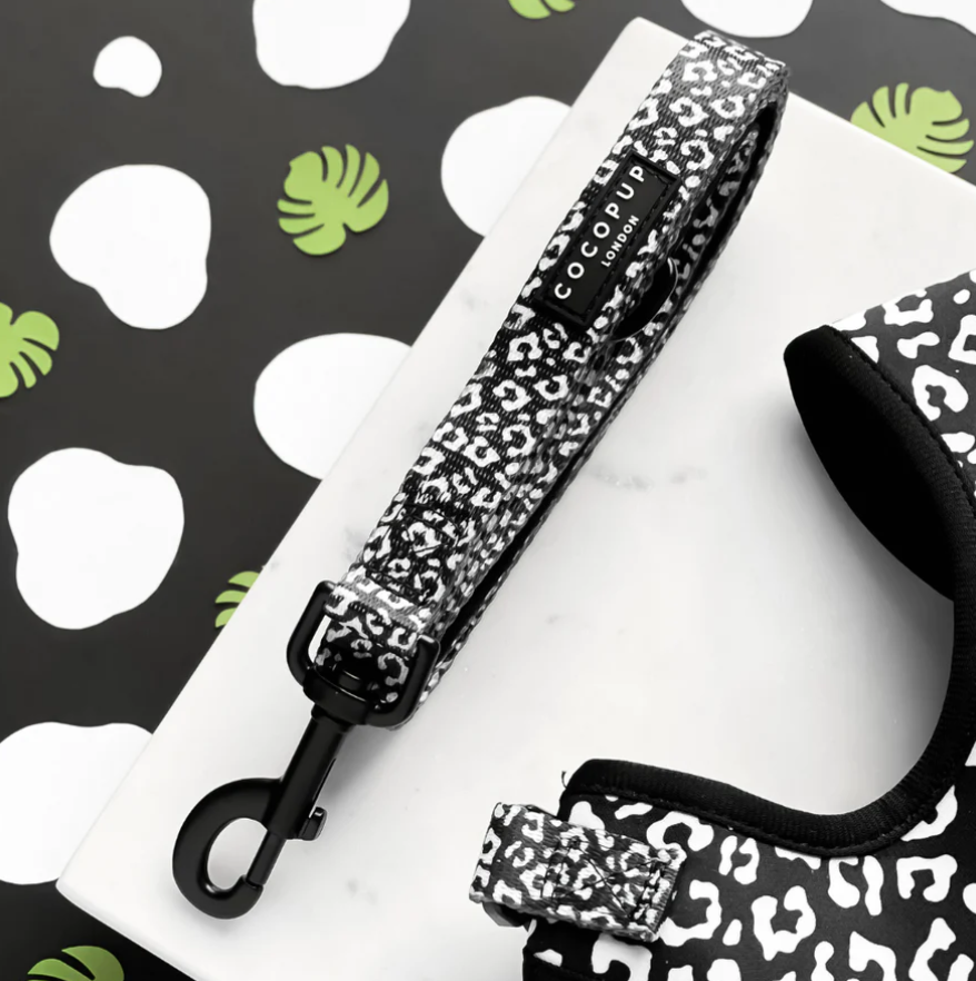 Black Leopard Dog Lead
