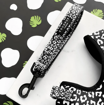 Black Leopard Dog Lead
