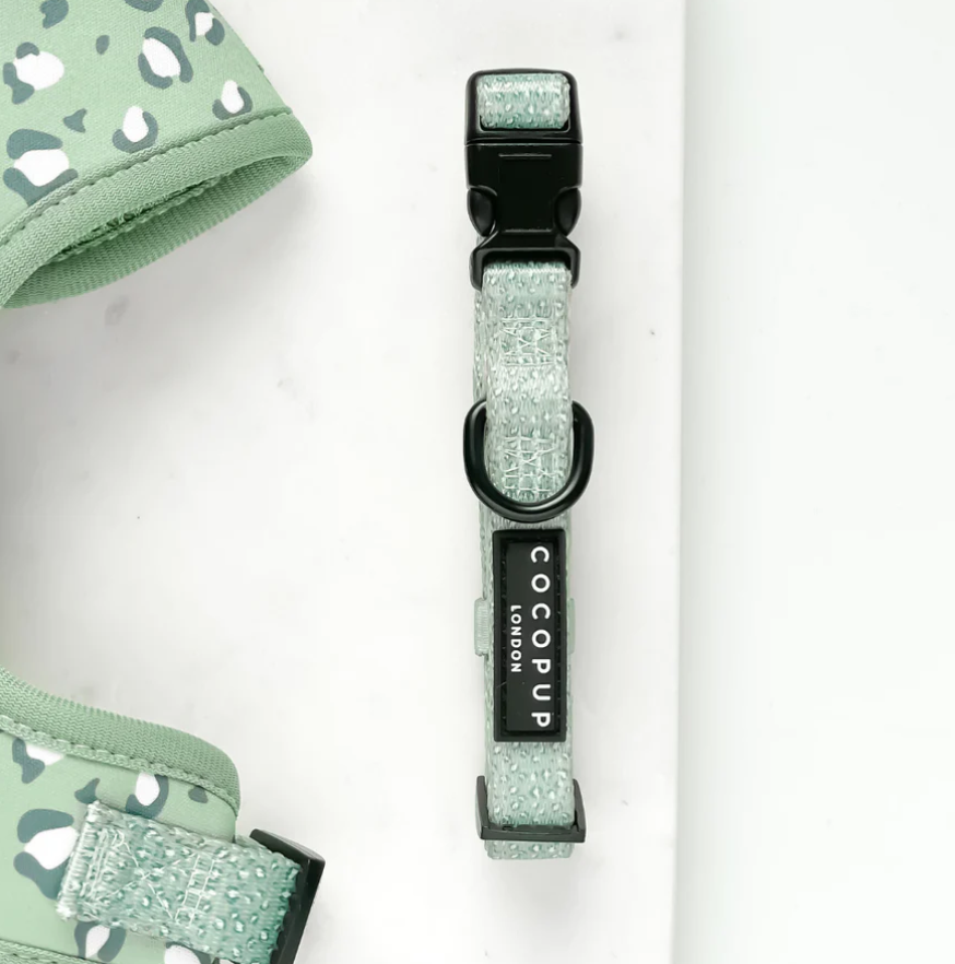 Sage Leopard Dog Collar