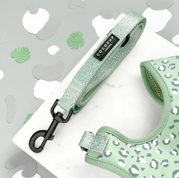 Sage Leopard Lead