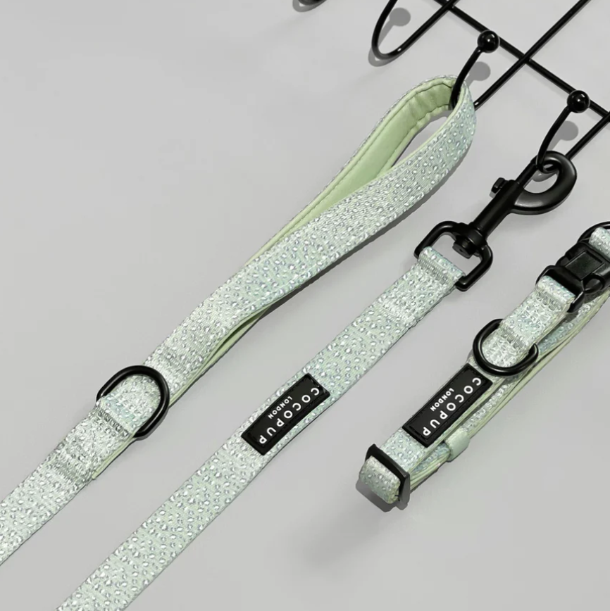 Sage Leopard Lead