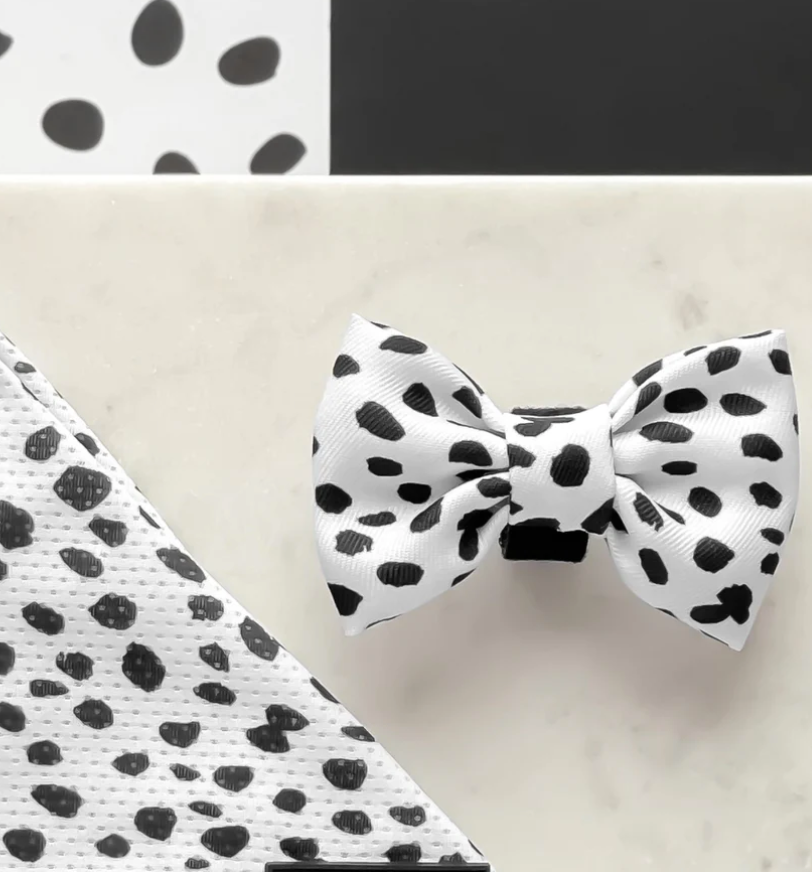 Monochrome Spots Bow Tie