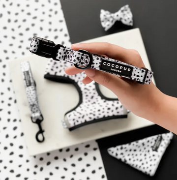 Monochrome Spots Dog Collar