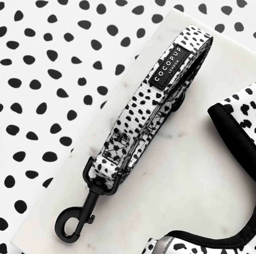 Monochrome Spots Lead - Puppy