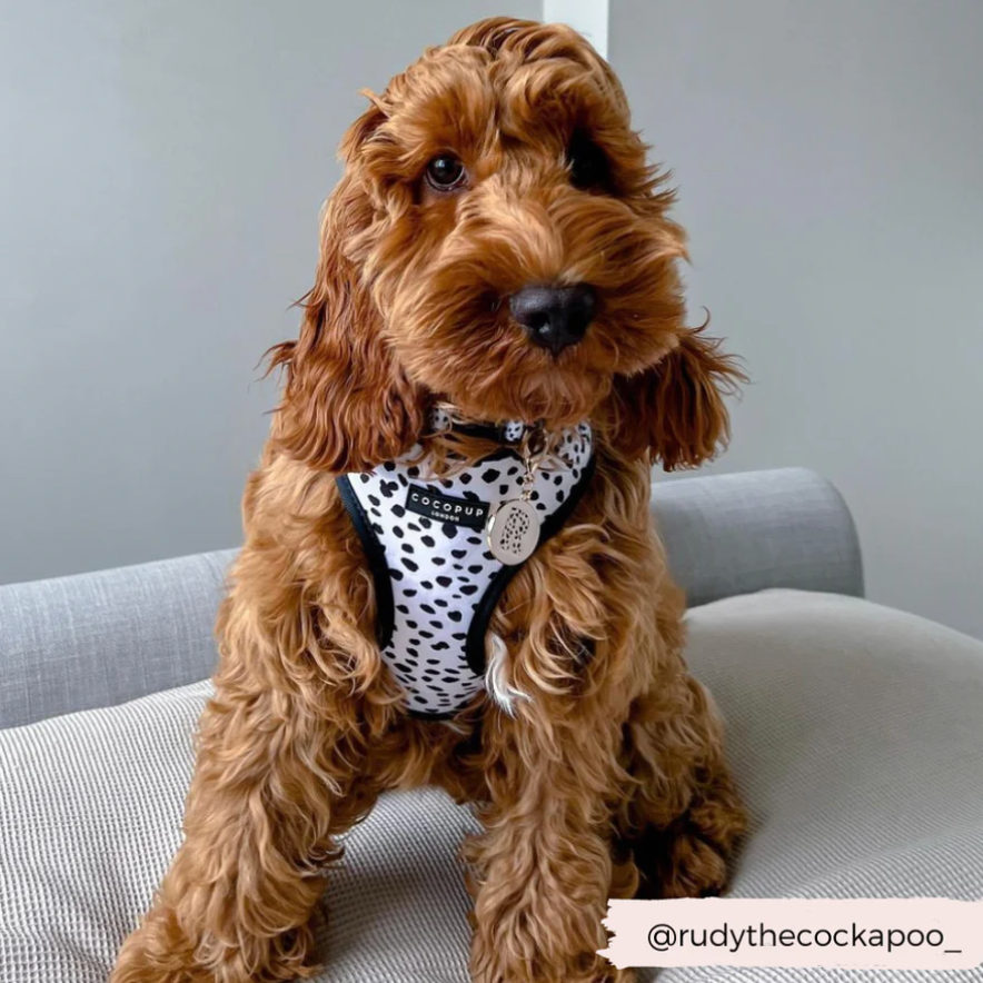 Monochrome Spots Adjustable Neck Harness